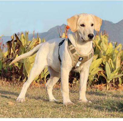 Cane de correa a prueba de explosión gran cinturón de pecho para perros reflectivo gran chaleco de correa para perros chaleco para mascotas