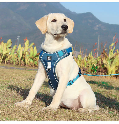 Cane de correa a prueba de explosión gran cinturón de pecho para perros reflectivo gran chaleco de correa para perros chaleco para mascotas