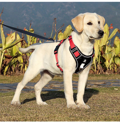 Cane de correa a prueba de explosión gran cinturón de pecho para perros reflectivo gran chaleco de correa para perros chaleco para mascotas