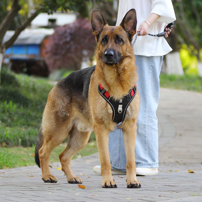 Cane de correa a prueba de explosión gran cinturón de pecho para perros reflectivo gran chaleco de correa para perros chaleco para mascotas