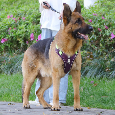 Cane de correa a prueba de explosión gran cinturón de pecho para perros reflectivo gran chaleco de correa para perros chaleco para mascotas