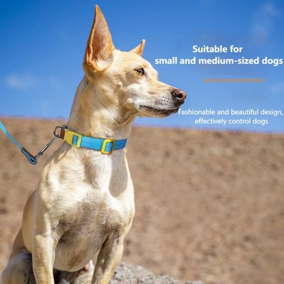 Conjunto de tracción de cuello para perros de tamaño pequeño y mediano