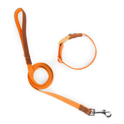 Conjunto de tracción de cuello para perros de tamaño pequeño y mediano