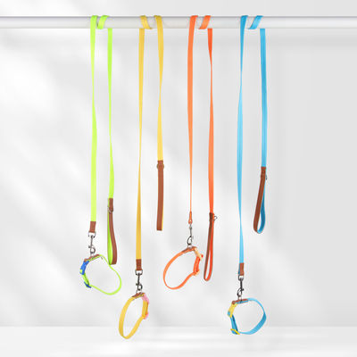Conjunto de tracción de cuello para perros de tamaño pequeño y mediano