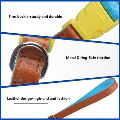 Conjunto de tracción de cuello para perros de tamaño pequeño y mediano