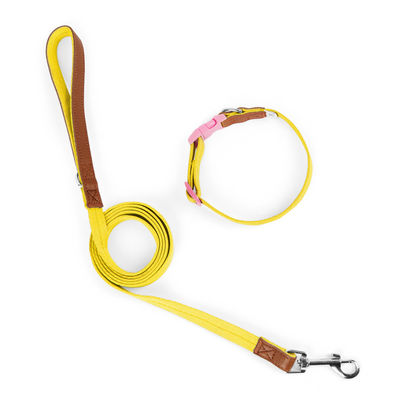 Conjunto de tracción de cuello para perros de tamaño pequeño y mediano