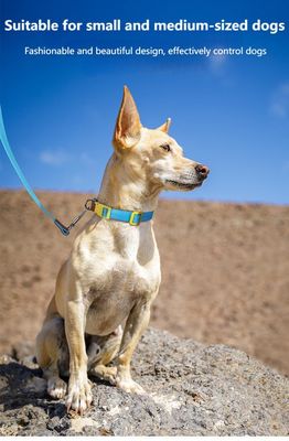 Conjunto de tracción de cuello para perros de tamaño pequeño y mediano